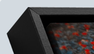 Red Wolf Moon Framed Canvas