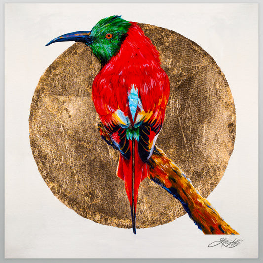 'Carmine Bee Eater' Framed Canvas