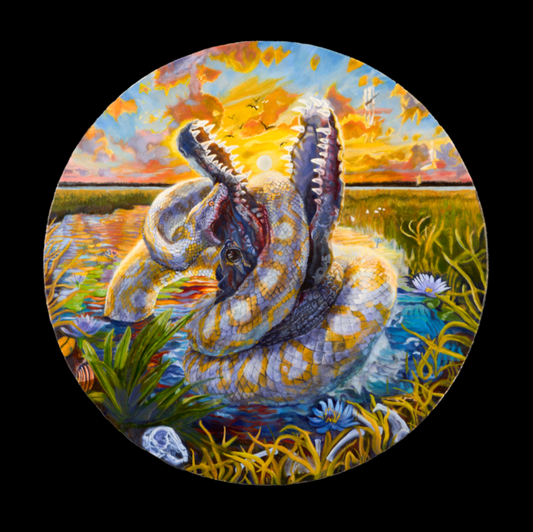 Battle for the Everglades Framed Canvas